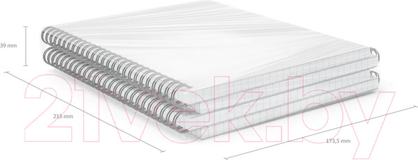 Изображение товара Тетрадь Erich Krause Candy / 54170 (80л, клетка)