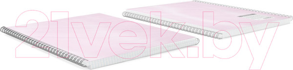 Изображение товара Тетрадь Erich Krause Candy / 54110 (80л, клетка)