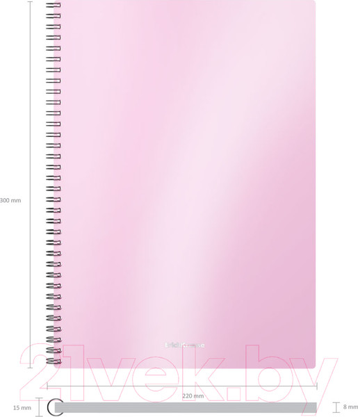 Изображение товара Тетрадь Erich Krause Candy / 54110 (80л, клетка)