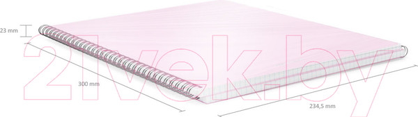 Изображение товара Тетрадь Erich Krause Candy / 54110 (80л, клетка)