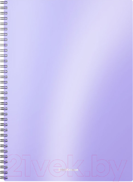 Изображение товара Тетрадь Erich Krause Candy / 54167 (80л, клетка)