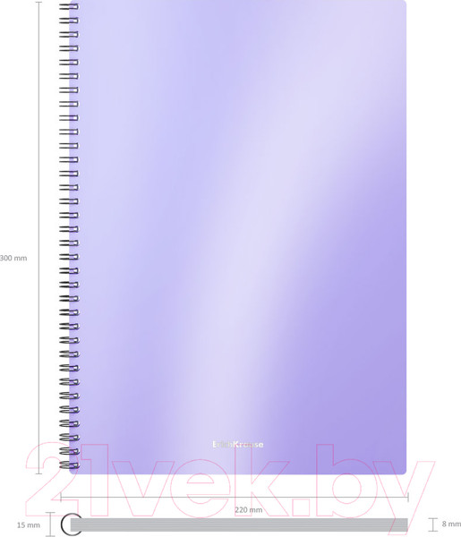 Изображение товара Тетрадь Erich Krause Candy / 54167 (80л, клетка)