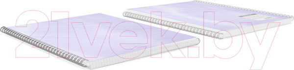 Изображение товара Тетрадь Erich Krause Candy / 54167 (80л, клетка)