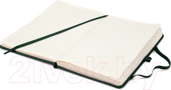 Изображение товара Записная книжка Axent Partner Lux А5 / 8202-04 (96л, зеленый)
