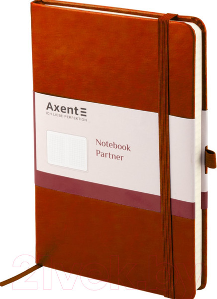 Изображение товара Записная книжка Axent Partner Lux А5 / 8202-19 (96л, коричневый)