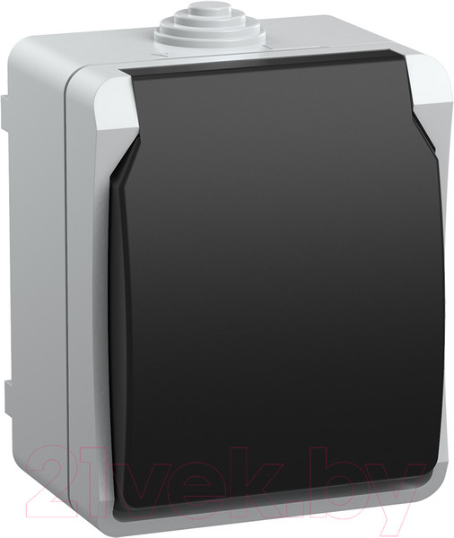 Изображение товара Розетка IEK Форс ERS12-K03-16-54-DC