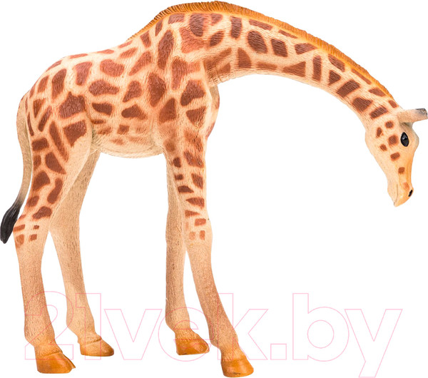 Изображение товара Игровой набор Masai Mara На ферме / ММ205-038