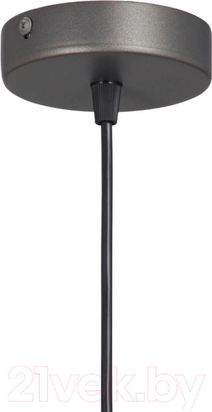 Изображение товара Потолочный светильник Vitaluce V2925-2/1S