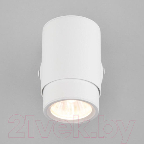 Изображение товара Спот Евросвет Morgan 20124/1 (белый)