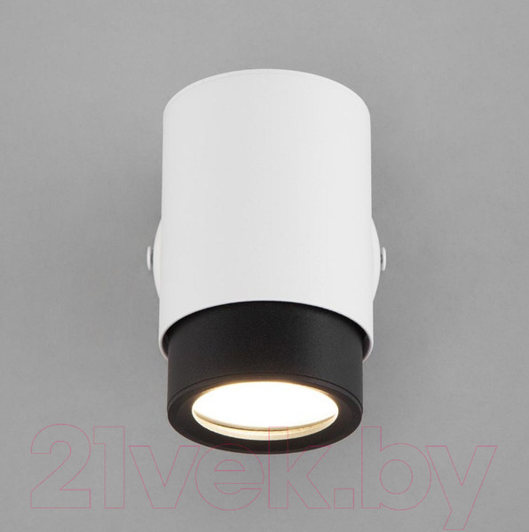 Изображение товара Спот Евросвет Morgan 20124/1 (белый/черный)