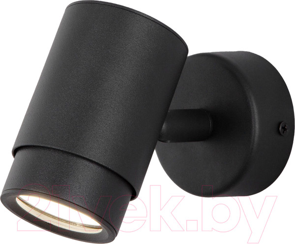 Изображение товара Спот Евросвет Morgan 20124/1 (черный)