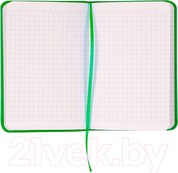 Изображение товара Записная книжка Axent Partner А6 / 8301-04 (96л, салатовый)