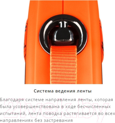 Изображение товара Поводок-рулетка Flexi Xtreme ремень / 34309 (M,5м, черный/оранжевый)
