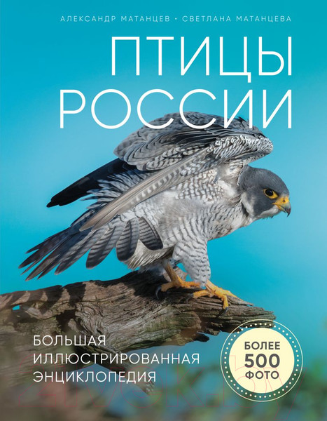 Изображение товара Энциклопедия Эксмо Птицы России (Матанцев А.)