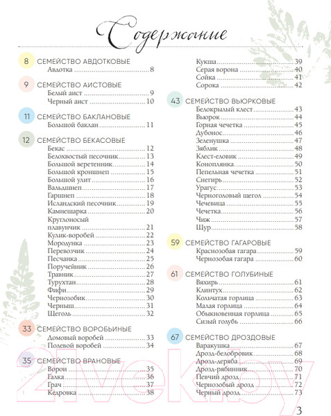 Изображение товара Энциклопедия Эксмо Птицы России (Матанцев А.)