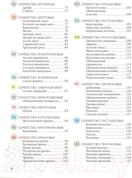 Изображение товара Энциклопедия Эксмо Птицы России (Матанцев А.)