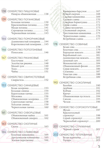 Изображение товара Энциклопедия Эксмо Птицы России (Матанцев А.)