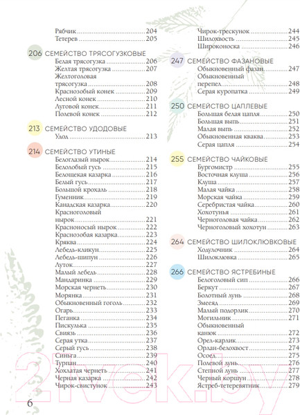 Изображение товара Энциклопедия Эксмо Птицы России (Матанцев А.)