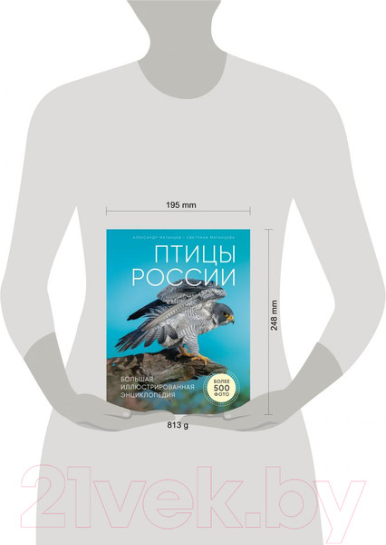 Изображение товара Энциклопедия Эксмо Птицы России (Матанцев А.)