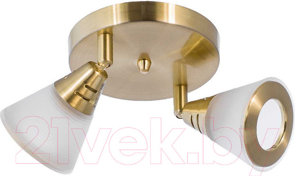 Изображение товара Потолочный светильник Aitin-Pro НПБ 640/2P (латунь/белый)
