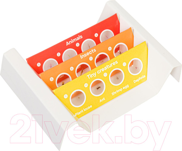 Изображение товара Набор микропрепаратов Levenhuk Discovery Фауна / 78224 (12шт)