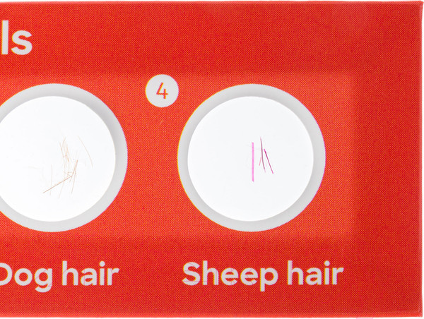 Изображение товара Набор микропрепаратов Levenhuk Discovery Фауна / 78224 (12шт)