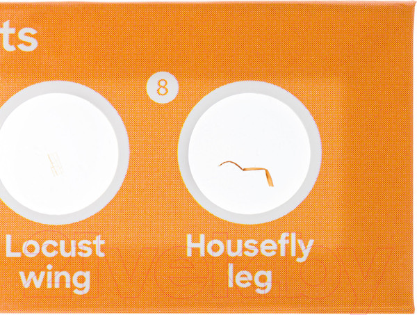 Изображение товара Набор микропрепаратов Levenhuk Discovery Фауна / 78224 (12шт)