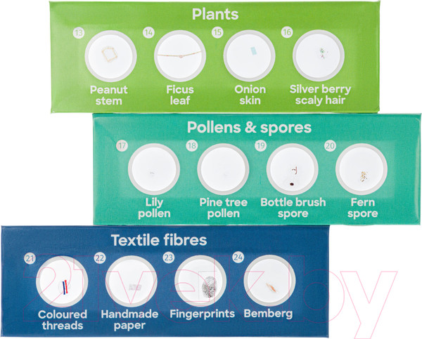 Изображение товара Набор микропрепаратов Levenhuk Discovery Флора / 78225 (12шт)