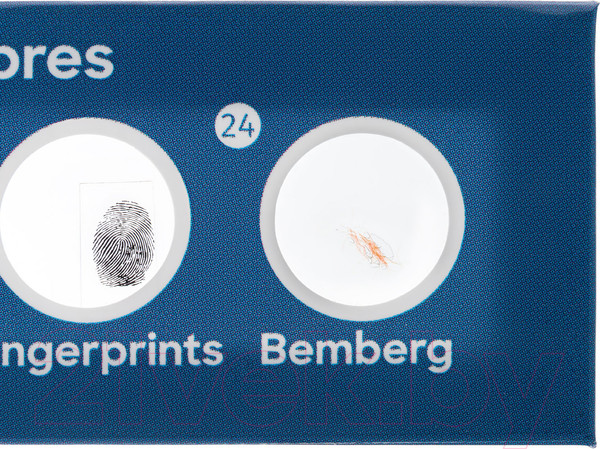 Изображение товара Набор микропрепаратов Levenhuk Discovery Флора / 78225 (12шт)