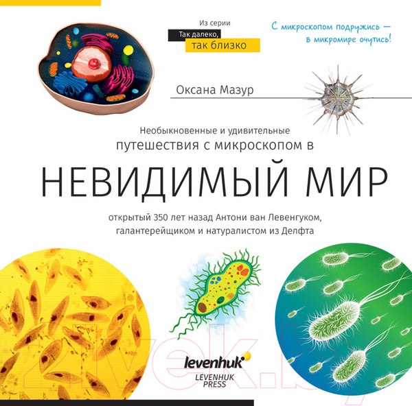Изображение товара Микроскоп оптический Levenhuk Discovery Micro Gravity с книгой / 77948