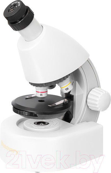 Изображение товара Микроскоп оптический Levenhuk Discovery Micro Polar с книгой / 77952