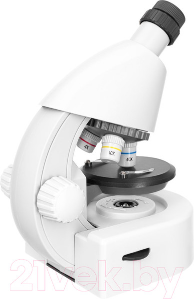 Изображение товара Микроскоп оптический Levenhuk Discovery Micro Polar с книгой / 77952