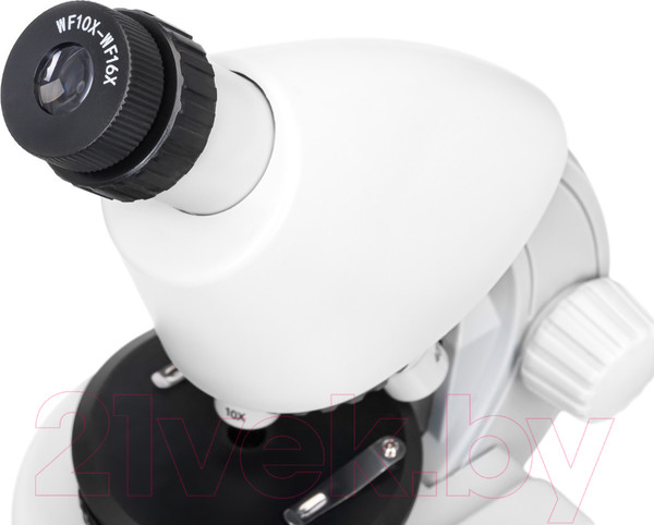 Изображение товара Микроскоп оптический Levenhuk Discovery Micro Polar с книгой / 77952