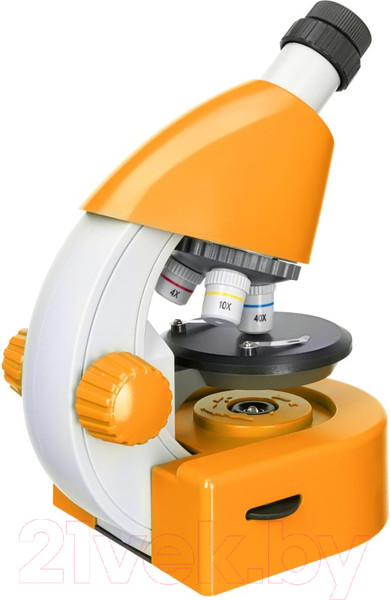 Изображение товара Микроскоп оптический Levenhuk Discovery Micro Solar с книгой / 77954