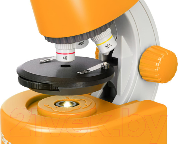 Изображение товара Микроскоп оптический Levenhuk Discovery Micro Solar с книгой / 77954