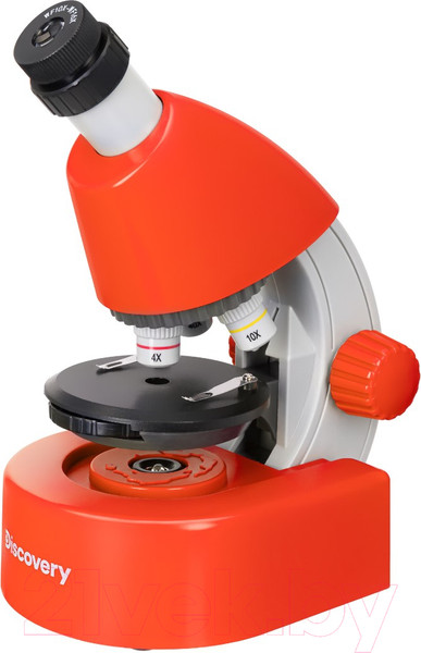 Изображение товара Микроскоп оптический Levenhuk Discovery Micro Terra с книгой / 77956