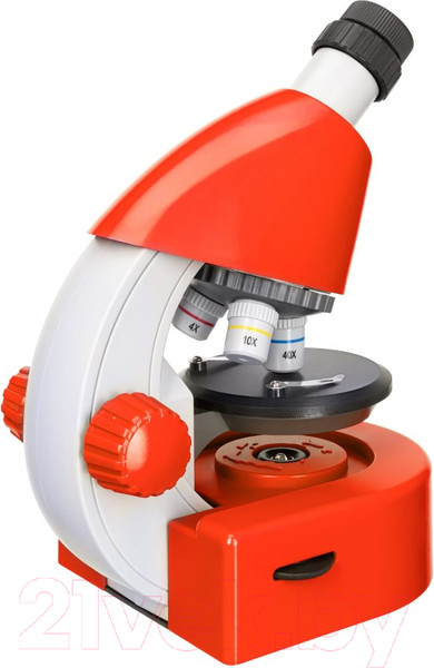 Изображение товара Микроскоп оптический Levenhuk Discovery Micro Terra с книгой / 77956