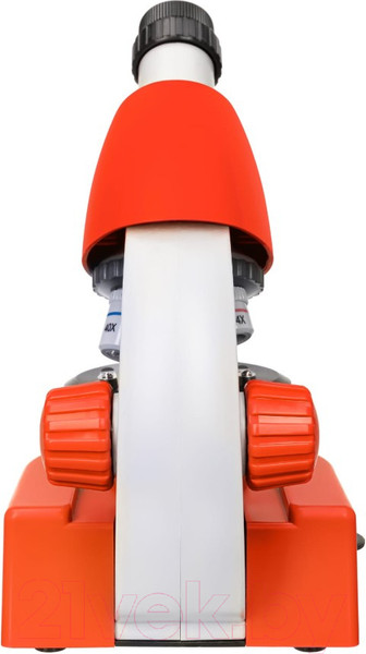 Изображение товара Микроскоп оптический Levenhuk Discovery Micro Terra с книгой / 77956