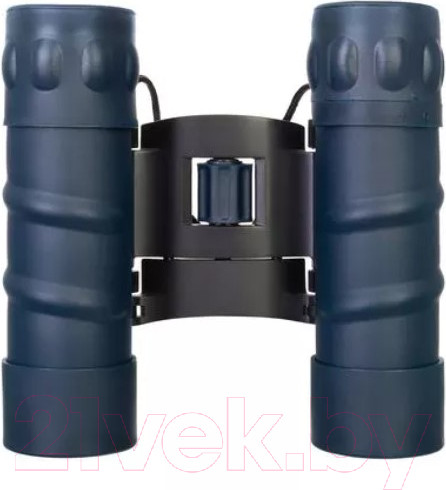 Изображение товара Бинокль Levenhuk Discovery Gator 16x32 / 77912