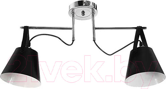 Изображение товара Потолочный светильник Aitin-Pro НПБ K119/2 (хром/черный)