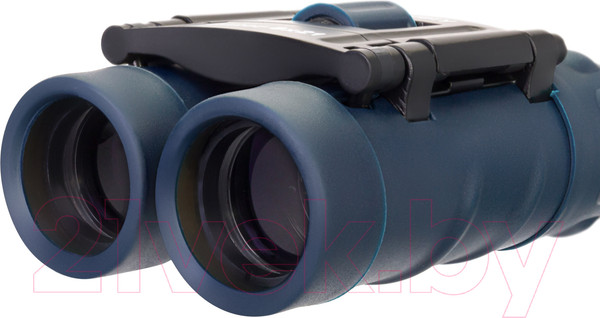 Изображение товара Бинокль Levenhuk Discovery Gator 8x21 / 77914