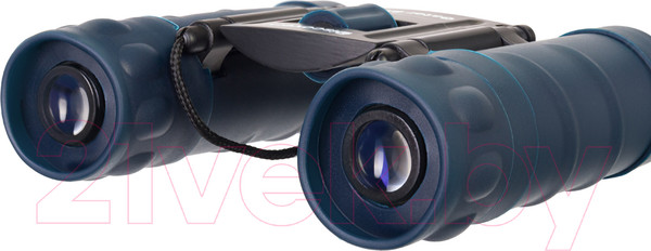 Изображение товара Бинокль Levenhuk Discovery Gator 8x21 / 77914