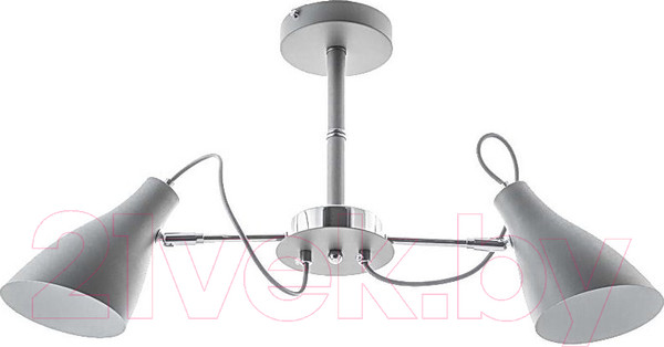 Изображение товара Потолочный светильник Aitin-Pro НПБ C848/2 (серый)