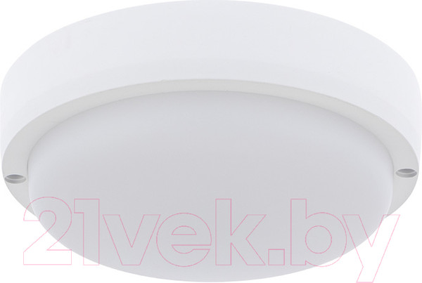 Изображение товара Светильник ЖКХ Rexant 607-207