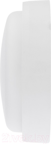 Изображение товара Светильник ЖКХ Rexant 607-207