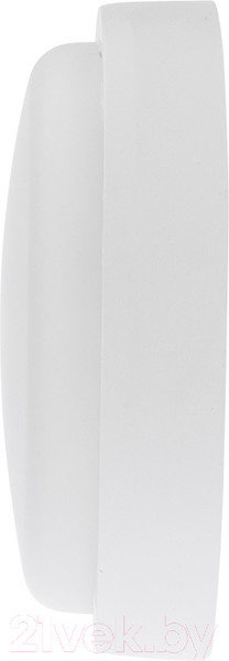 Изображение товара Светильник ЖКХ Rexant 607-208