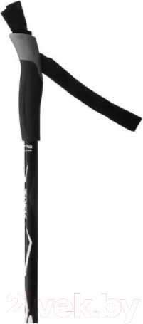 Изображение товара Комплект беговых лыж STC Step 0075 185/145 (красный)