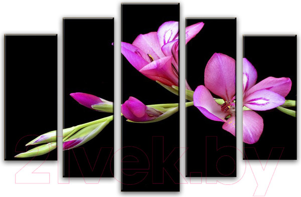 Изображение товара Картина модульная Arthata 5m-315 (160x90)