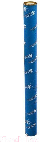 Изображение товара Настенная карта Globen Животный и растительный мир Земли, для детей / КН011