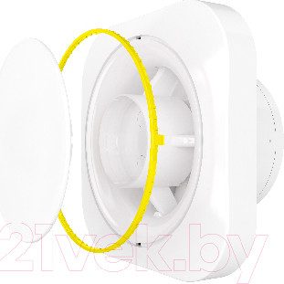 Изображение товара Вентилятор накладной ERA D 125 / Disc 5 BB